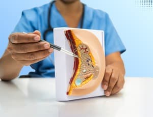 BIEDX Breast Imaging Basics