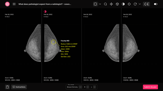 Practice case viewer interface
